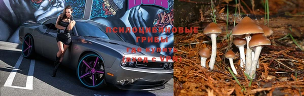 тгк Белокуриха