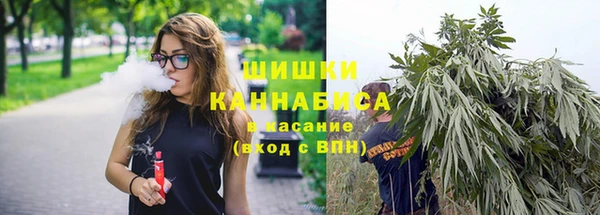 тгк Белокуриха