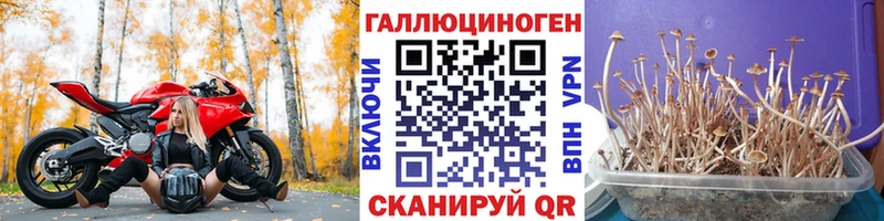 Галлюциногенные грибы мухоморы сколько стоит Хабаровск