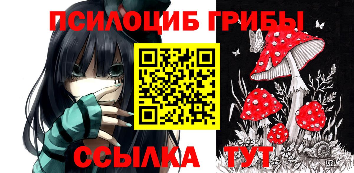 Галлюциногенные грибы Cubensis Россия