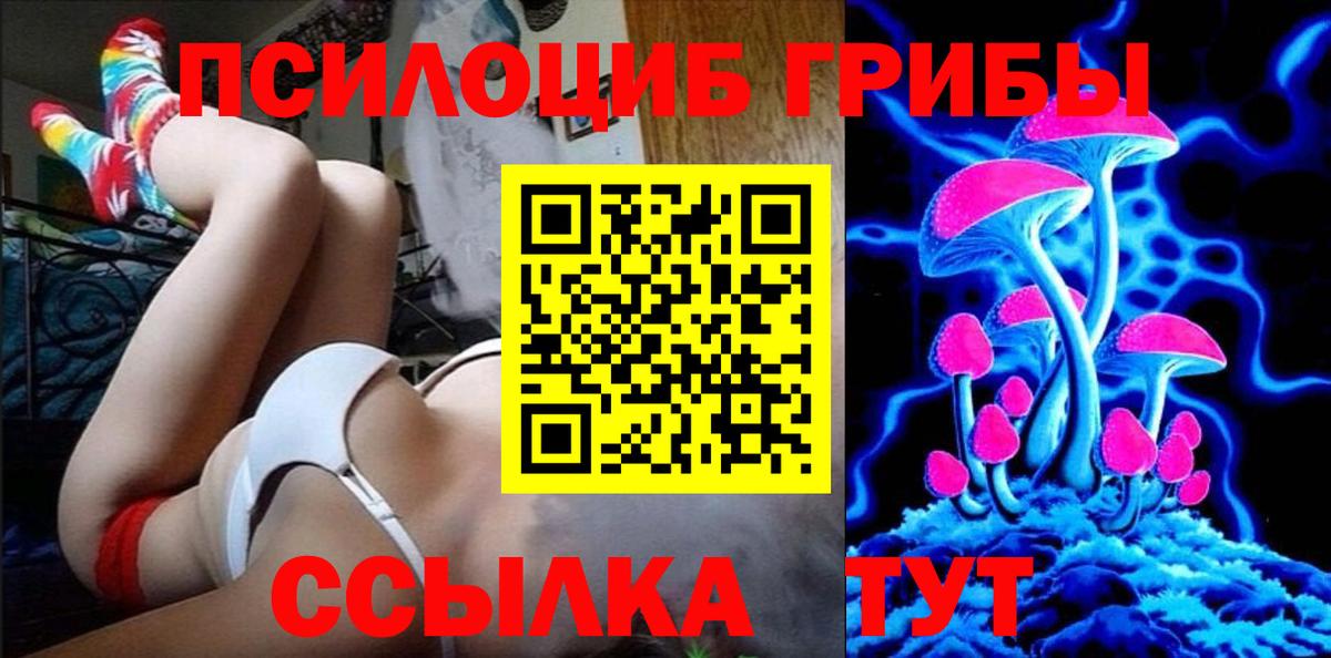 Галлюциногенные грибы Psilocybe Россия