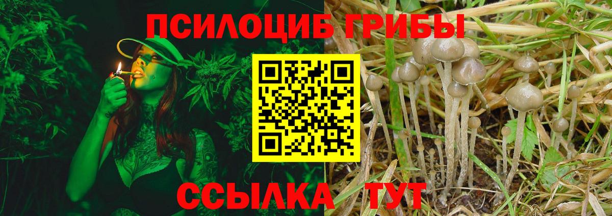 Псилоцибиновые грибы ЛСД  Россия 