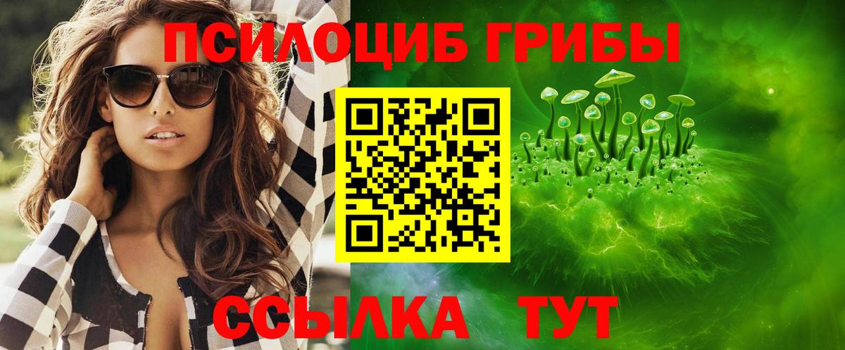 Псилоцибиновые грибы Psilocybine cubensis  Вход с VPN  Россия  Галлюциногенные грибы Cubensis 